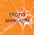 exotix_mandarin